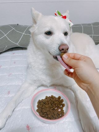 bori0924님이 올린 리뷰 사진 4
