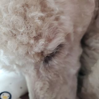 아영마미쓰님이 올린 리뷰 사진 3