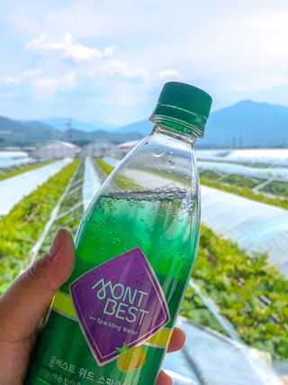 몽베스트 Montbest with Sparkling water Lemon OR Lime 20병(랜덤) — 5점을 준 리뷰어가 2023년 6월 올린 사용 사진