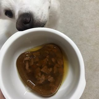 비타크래프트 조에시 하트캔 85g 강아지 습식캔 10캔 — 4점을 준 리뷰어가 2021년 9월 올린 사용 사진