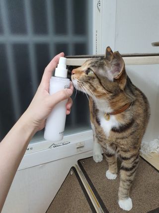 옒이님이 올린 리뷰 사진 3