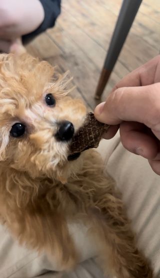 지옥광성님이 올린 리뷰 사진 1