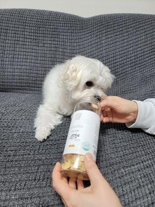 부르르펫 야미트릿 틸라피아 60g — 4점을 준 리뷰어가 2021년 11월 올린 사용 사진