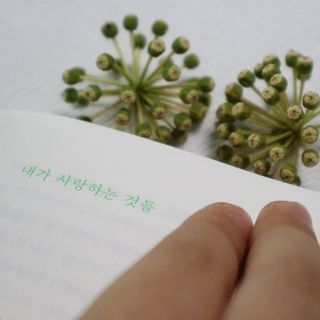 푸르매님이 올린 리뷰 사진 3
