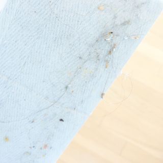 3M 스카치브라이트 비마마젠타 밀대걸레 세트+ PET 정전기청소포 대형 30매 — 5점을 준 리뷰어가 2025년 3월 올린 사용 사진