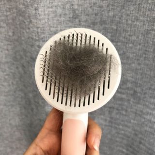 미우미우님이 올린 리뷰 사진 4