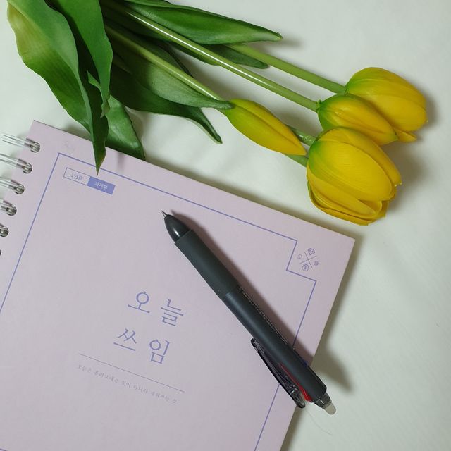 리훈 오늘쓰임 가계부 1년용 리뷰 사진