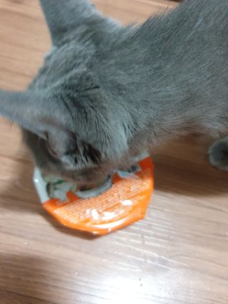 알몽님이 올린 리뷰 사진 4