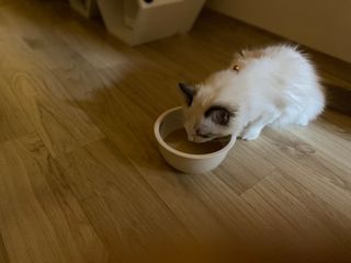 율집사님이 올린 리뷰 사진 2