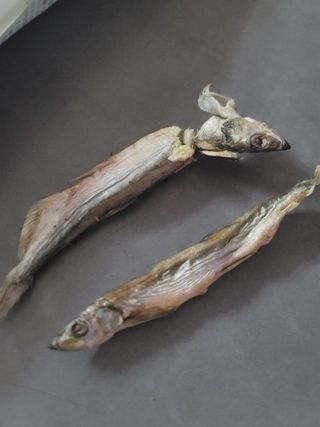 [펫시밀] 원물그대로 영양듬뿍 동결건조 왕북어트릿300g,왕치킨트릿400g,열빙어트릿300g 대용량 간식 — 5점을 준 리뷰어가 2023년 5월 올린 사용 사진