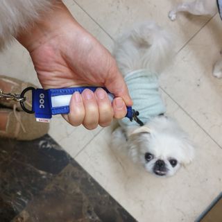 mini unni님이 올린 리뷰 사진 2