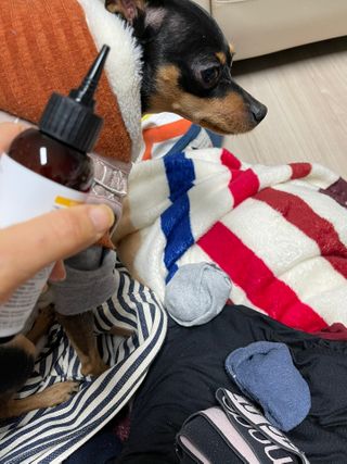도도님이 올린 리뷰 사진 1