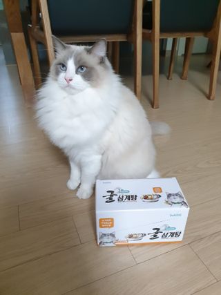 로크찡님이 올린 리뷰 사진 1