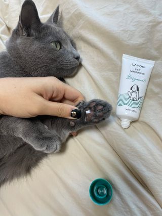 여온님이 올린 리뷰 사진 1