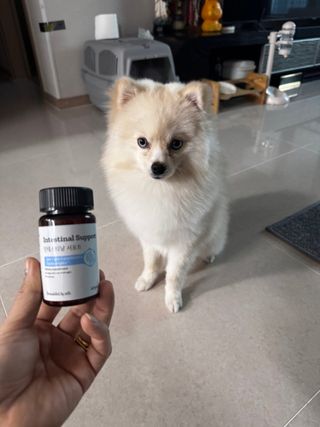 퓨리아님이 올린 리뷰 사진 2