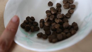 필쏘굿님이 올린 리뷰 사진 2