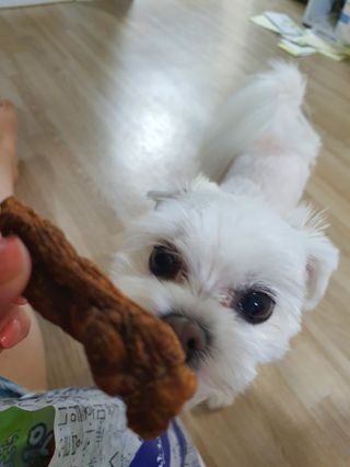 뽀오오옹님이 올린 리뷰 사진 2