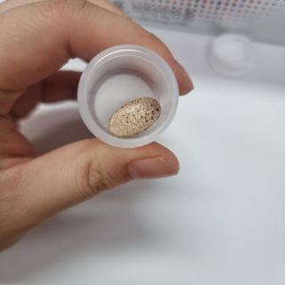 쏘야쏘님이 올린 리뷰 사진 1