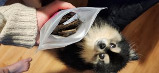성욘님이 올린 리뷰 사진 3