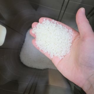 고림상점 풍부한 햇살과 바닷바람이 키우는 강화 교동 쌀 [백미1kg, 현미 1kg] 세트 — 4점을 준 리뷰어가 2021년 12월 올린 사용 사진