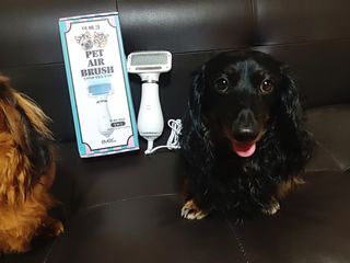 아베크 펫 강아지 고양이 애견 에어 브러쉬 드라이기 올인원 — 4.5점을 준 리뷰어가 2021년 7월 올린 사용 사진