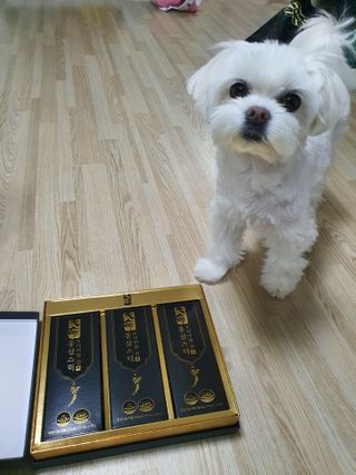 헬스업_천명진프리미엄홍삼스틱_10ml x 30포 — 5점을 준 리뷰어가 2021년 2월 올린 사용 사진