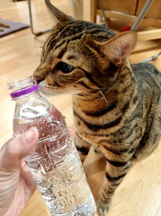 몽베스트 [MONTBEST]위드어스 500mL 20병 — 5점을 준 리뷰어가 2022년 9월 올린 사용 사진