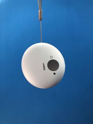 꿀님이 올린 리뷰 사진 4