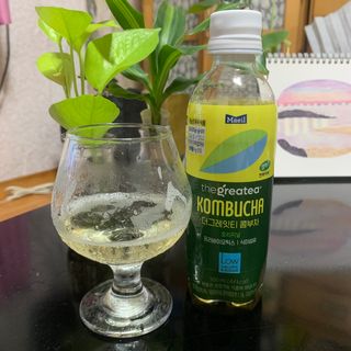 더그레잇티 콤부차 [매일유업] 더그레잇티 44kcal 콤부차 300ml *12개입 (오리지널 6개+베리리치 6개) — 5점을 준 리뷰어가 2023년 7월 올린 사용 사진