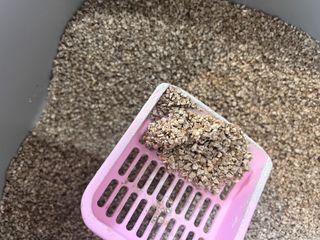 브라우니모래 [브라우니] 고양이 카사바모래 브라우니 천연 응고형 모래  6Lx2개 — 4.5점을 준 리뷰어가 2023년 11월 올린 사용 사진