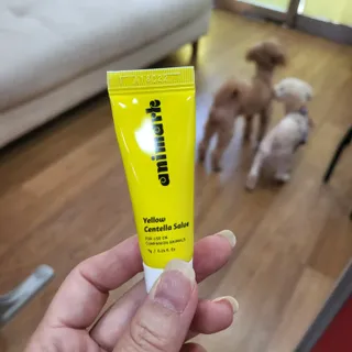 댑빵이님이 올린 리뷰 사진 1
