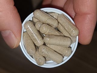 닥터피엔티 [Dr.PNT] 세레네이드 플러스 (1개월분) — 5점을 준 리뷰어가 2023년 5월 올린 사용 사진