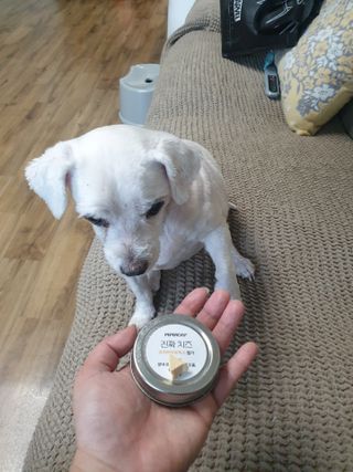 진진이님이 올린 리뷰 사진 4
