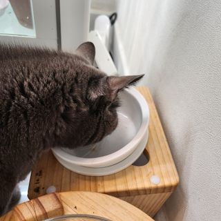 부우기님이 올린 리뷰 사진 3