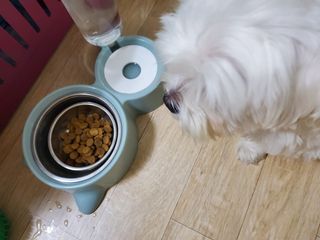 힙스터펭님이 올린 리뷰 사진 3