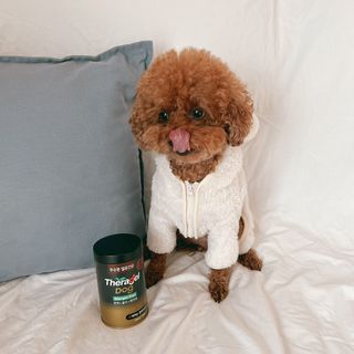 조이님이 올린 리뷰 사진 2