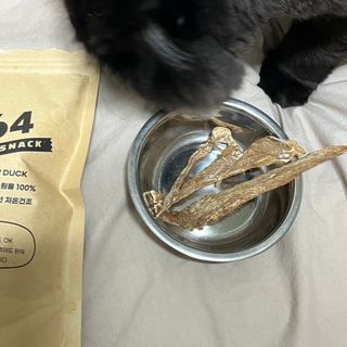 [보헤리] 국내산 강아지 육포간식 바삭 64 2종 — 5점을 준 리뷰어가 2022년 3월 올린 사용 사진