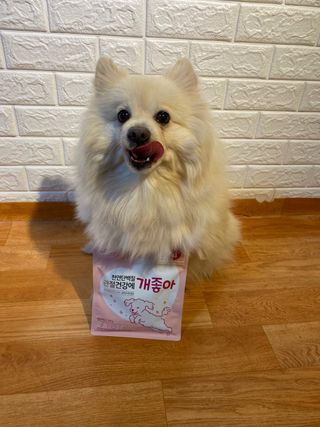 My Pet Care 천연단백질 관절건강에 개좋아 — 5점을 준 리뷰어가 2021년 2월 올린 사용 사진