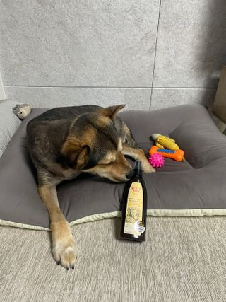 윤도랑님이 올린 리뷰 사진 2