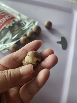 비나프렌즈 (구매평) 25년 햇 수확 알큰 프리미엄 껍질 까먹는 통 마카다미아 — 5점을 준 리뷰어가 2025년 8월 올린 사용 사진