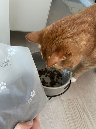 래래님이 올린 리뷰 사진 2
