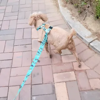 야토언니님이 올린 리뷰 사진 3