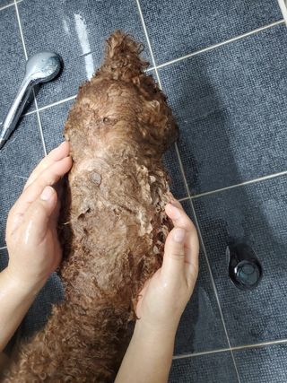 준맘님이 올린 리뷰 사진 2