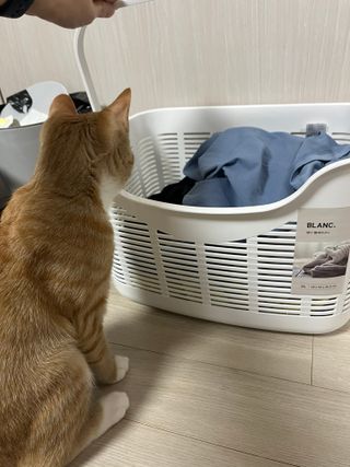 Ondodo님이 올린 리뷰 사진 3