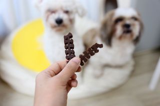 써니수님이 올린 리뷰 사진 4