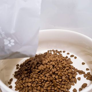 랄라맘마님이 올린 리뷰 사진 3