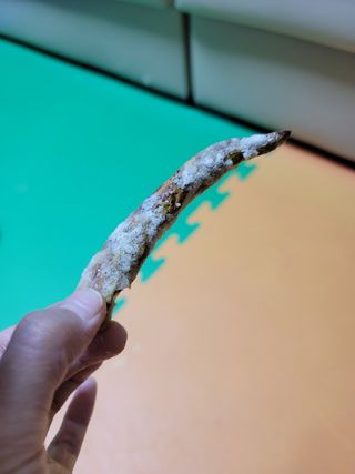 도블리님이 올린 리뷰 사진 4