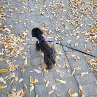 sooooo님이 올린 리뷰 사진 3