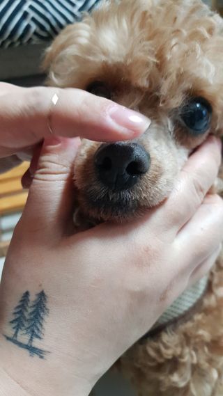 사랑타령님이 올린 리뷰 사진 3