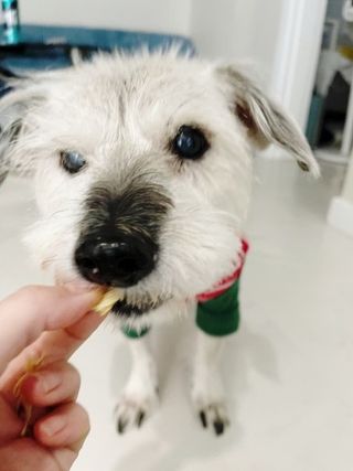Ming님이 올린 리뷰 사진 3
